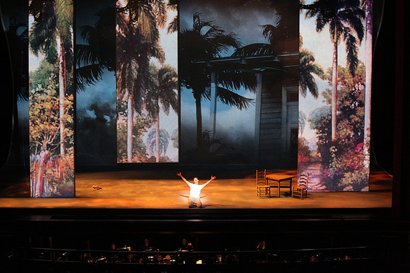 Before Night Falls Florida Grand Opera by Jorge Martin with Dolores M. Koch
