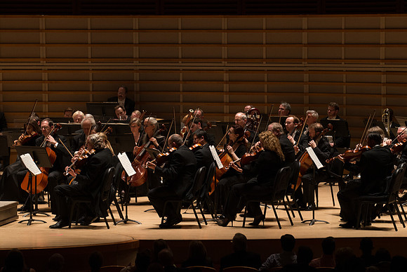 20140228_Detrot_Symphony_Orchestra_2014CG3P0252