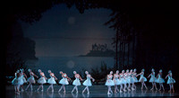 20151025_MCB_Swan_Lake_2Cast_Arsht_IMG_8472