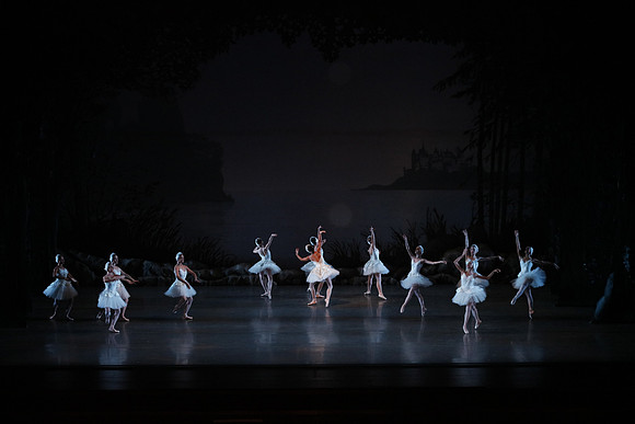 20151022_MCB_Swan_Lake_DR_Arsht__75A8092