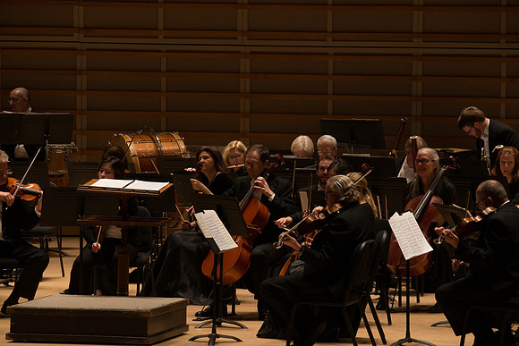 20140228_Detrot_Symphony_Orchestra_2014CG3P0029
