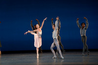 20261016_Allegro Brillante_DR_DSC01486