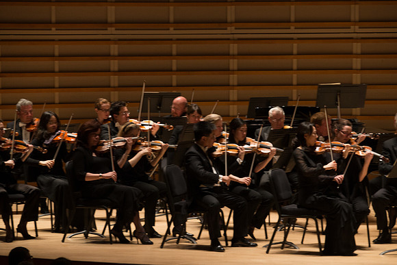 20140228_Detrot_Symphony_Orchestra_2014CG3P0227