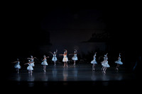 20151022_MCB_Swan_Lake_DR_Arsht__75A8094