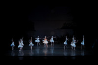 20151022_MCB_Swan_Lake_DR_Arsht__75A8095