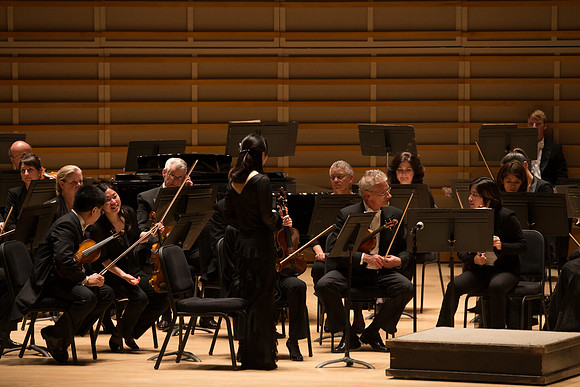 20140228_Detrot_Symphony_Orchestra_2014CG3P0112