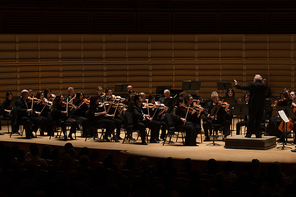 20140228_Detrot_Symphony_Orchestra_2014CG3P0207