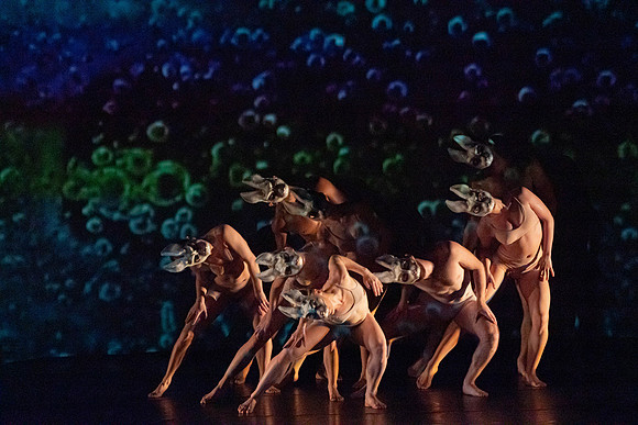 20230205_Monix_Alice_Arsht_DSC0854