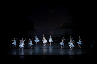 20151022_MCB_Swan_Lake_DR_Arsht__75A8104