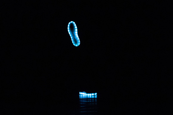 20230205_Monix_Alice_Arsht_DSC0232