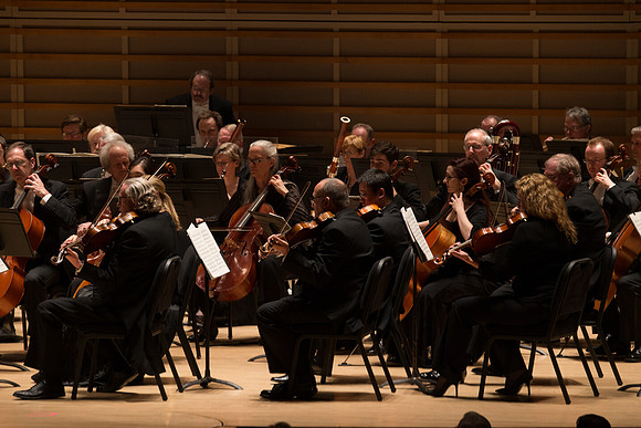20140228_Detrot_Symphony_Orchestra_2014CG3P0197