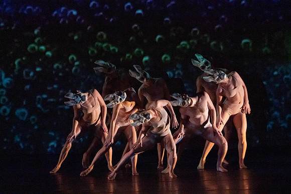 20230205_Monix_Alice_Arsht_DSC0842