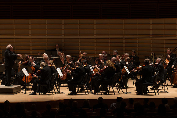 20140228_Detrot_Symphony_Orchestra_2014CG3P0168