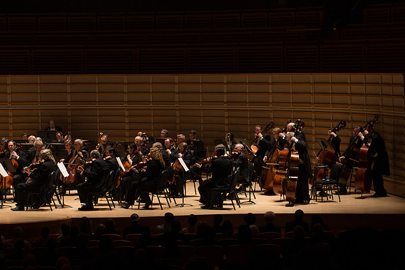 20140228_Detrot_Symphony_Orchestra_2014CG3P0190