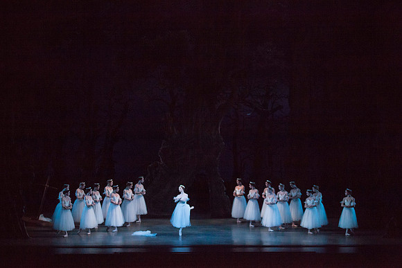 7064_DG_GISELLE_Broward_Preformance_Miami_City_Ballet_FL_IMG_4218