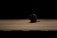20141025_Batsheva_Arsht_AL1B0003