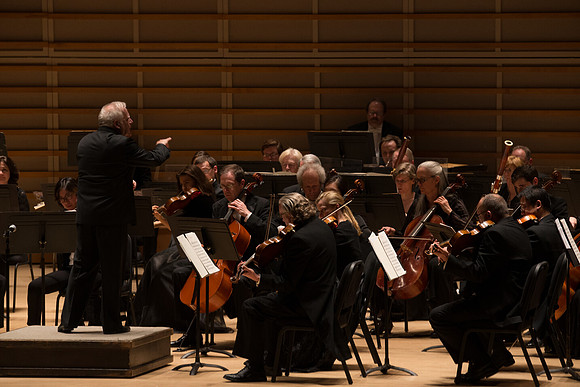 20140228_Detrot_Symphony_Orchestra_2014CG3P0149