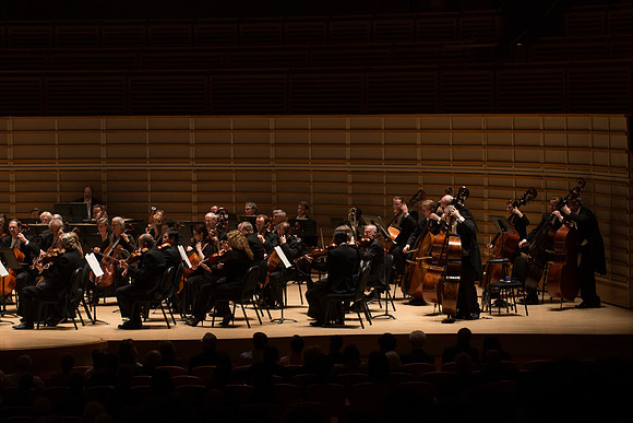 20140228_Detrot_Symphony_Orchestra_2014CG3P0187