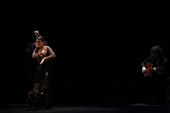 20140227_Flamenco_Festival_1_9C7C0132