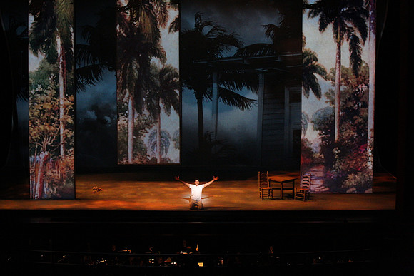 Before Night Falls Florida Grand Opera by Jorge Martin with Dolores M. Koch