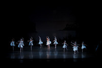 20151022_MCB_Swan_Lake_DR_Arsht__75A8106