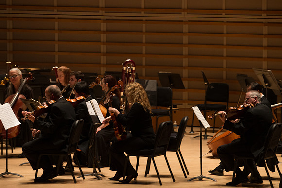 20140228_Detrot_Symphony_Orchestra_2014CG3P0032