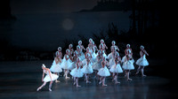 20151114_Swan_Lake_George_Balanchine_Kravis_IMG_6523
