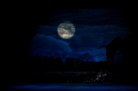 20240418_Swan_Lake_ACT_2_2_Cast_DSC5530.ARW