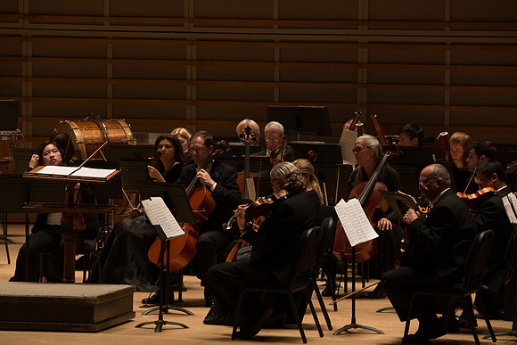 20140228_Detrot_Symphony_Orchestra_2014CG3P0025