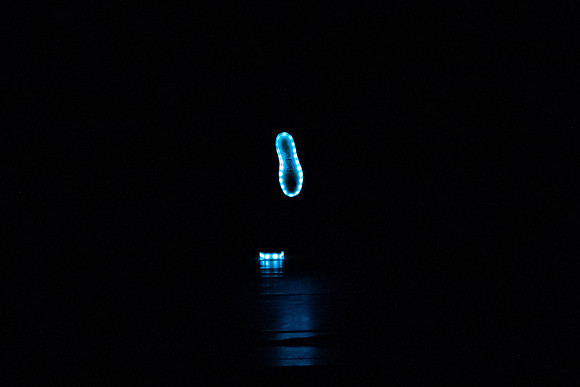 20230205_Monix_Alice_Arsht_DSC0210