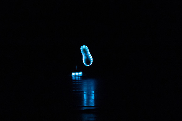 20230205_Monix_Alice_Arsht_DSC0226