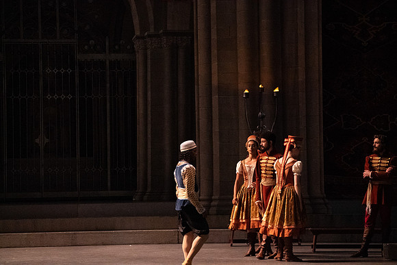Swan_Lake_Act 3_DR 1 Cast5523