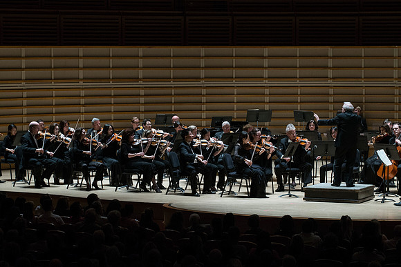 20140228_Detrot_Symphony_Orchestra_2014CG3P0208