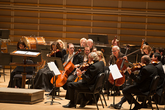 20140228_Detrot_Symphony_Orchestra_2014CG3P0015