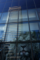 20160125_600_BRICKELL_IMG_6797