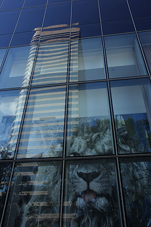 20160125_600_BRICKELL_IMG_6797