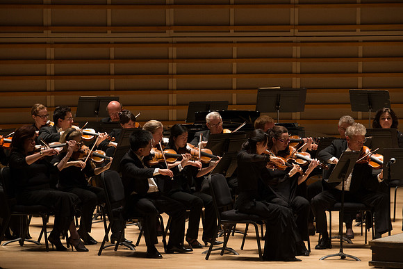 20140228_Detrot_Symphony_Orchestra_2014CG3P0245