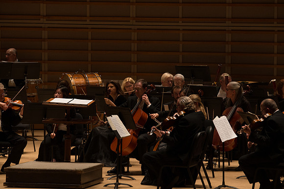20140228_Detrot_Symphony_Orchestra_2014CG3P0028