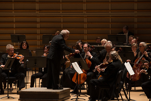 20140228_Detrot_Symphony_Orchestra_2014CG3P0213