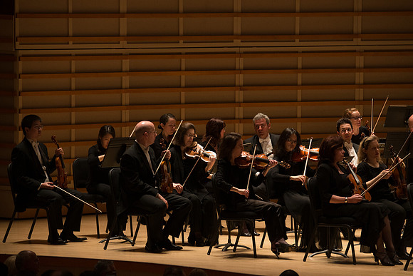 20140228_Detrot_Symphony_Orchestra_2014CG3P0098