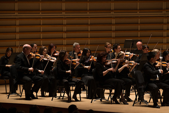 20140228_Detrot_Symphony_Orchestra_2014CG3P0248