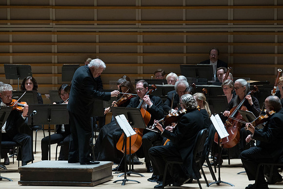 20140228_Detrot_Symphony_Orchestra_2014CG3P0155