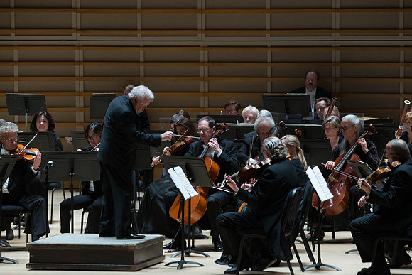 20140228_Detrot_Symphony_Orchestra_2014CG3P0155