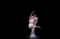 7005_DG_Broward_Art_Center_Ballet_MCB_FL_AL1B3171.2