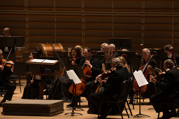 20140228_Detrot_Symphony_Orchestra_2014CG3P0037
