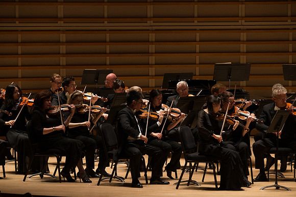 20140228_Detrot_Symphony_Orchestra_2014CG3P0294