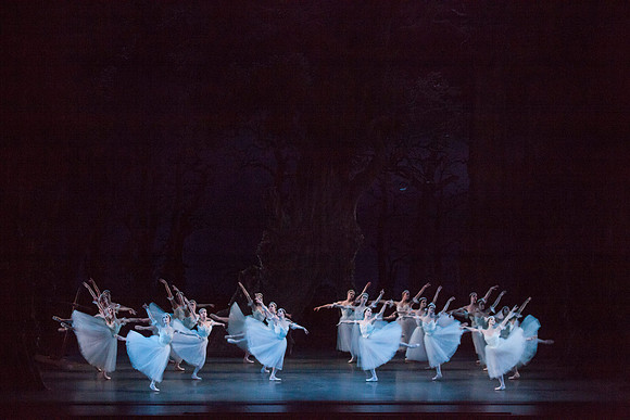 7064_DG_GISELLE_Broward_Preformance_Miami_City_Ballet_FL_IMG_4309