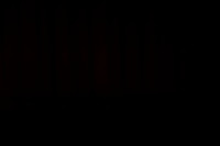 20151114_Fance_Free_PR_Kravis_75A2579