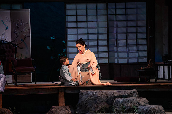 20200116_Madana_Butterfly_DR_173A0197