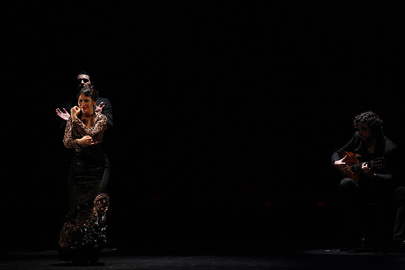 20140227_Flamenco_Festival_1_9C7C0140